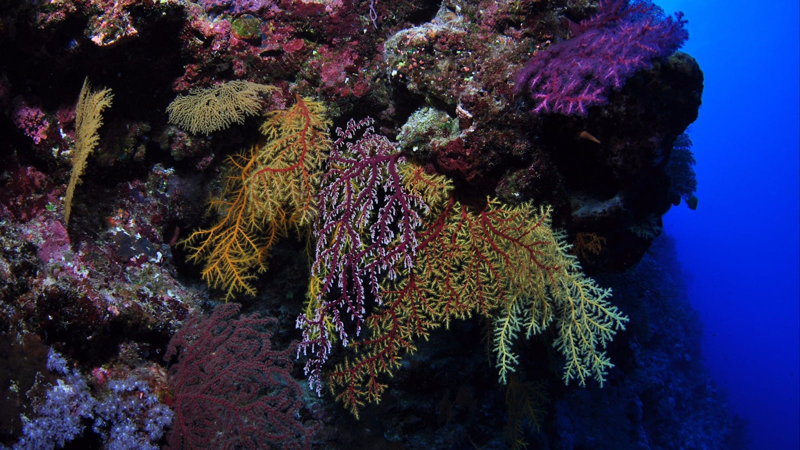 Around The Bend Dive Site