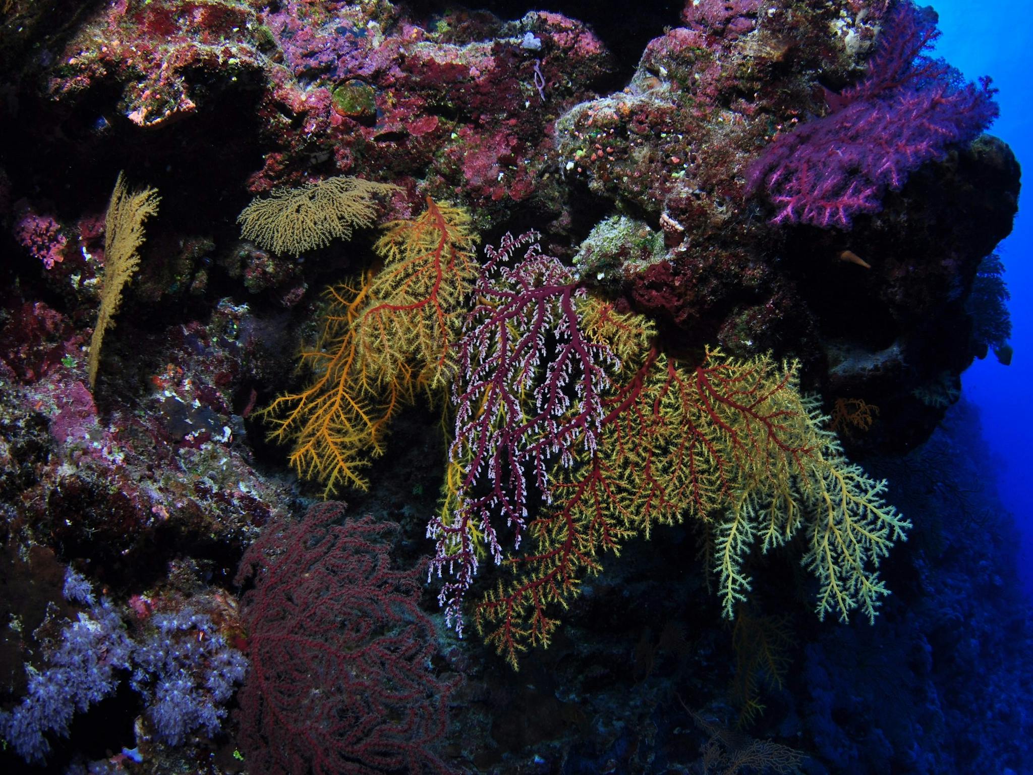 Around The Bend Dive Site Around The Bend Dive Site