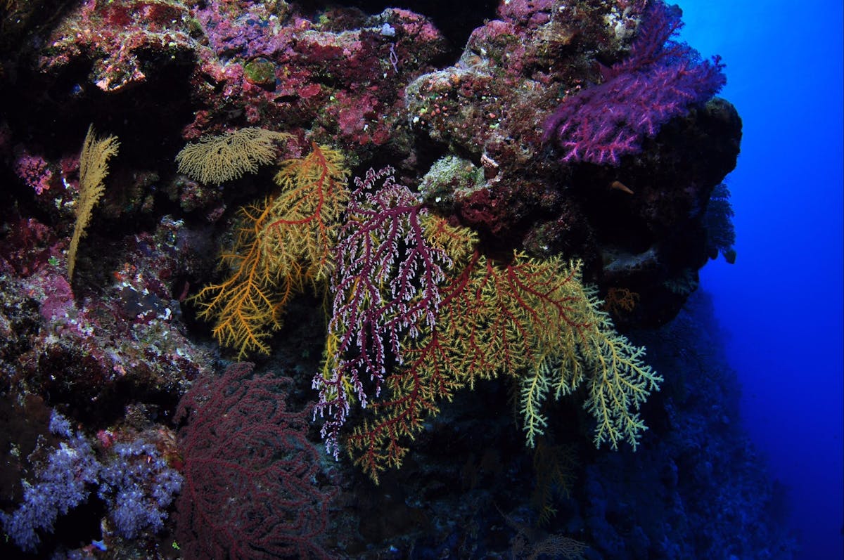 Around The Bend Dive Site