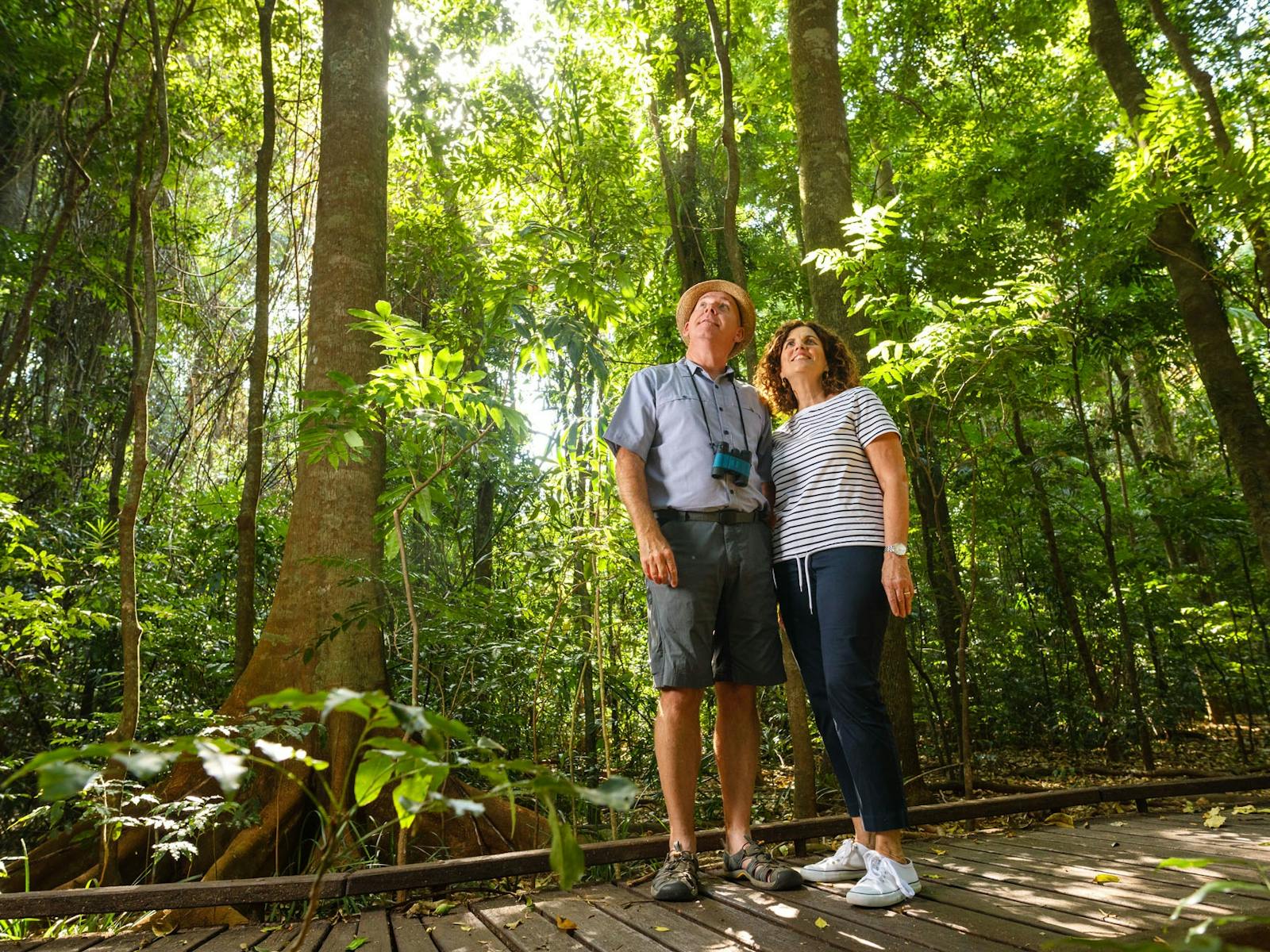 couple standing on boardwalk and looking up at trees