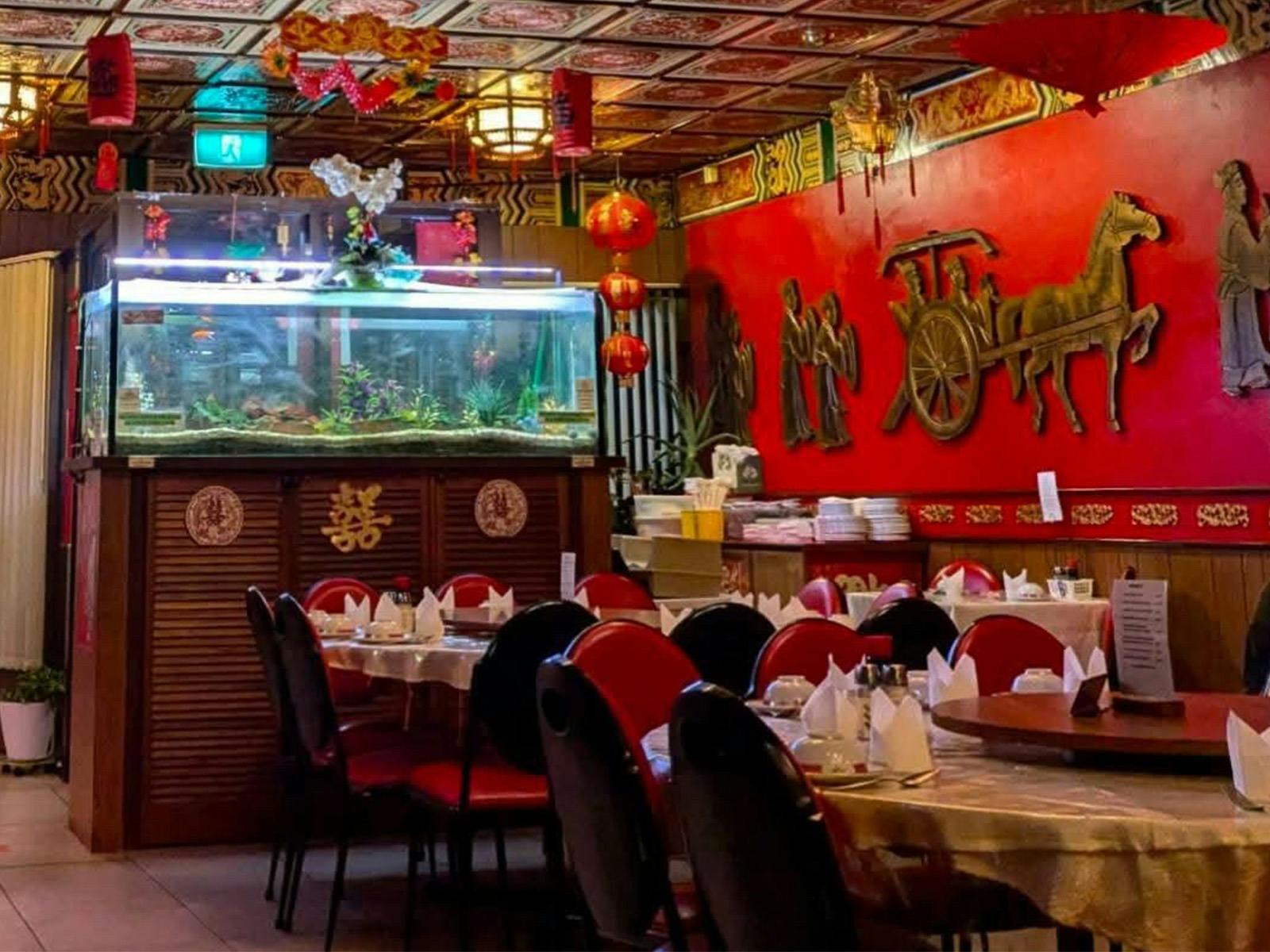 Fishtank interiors