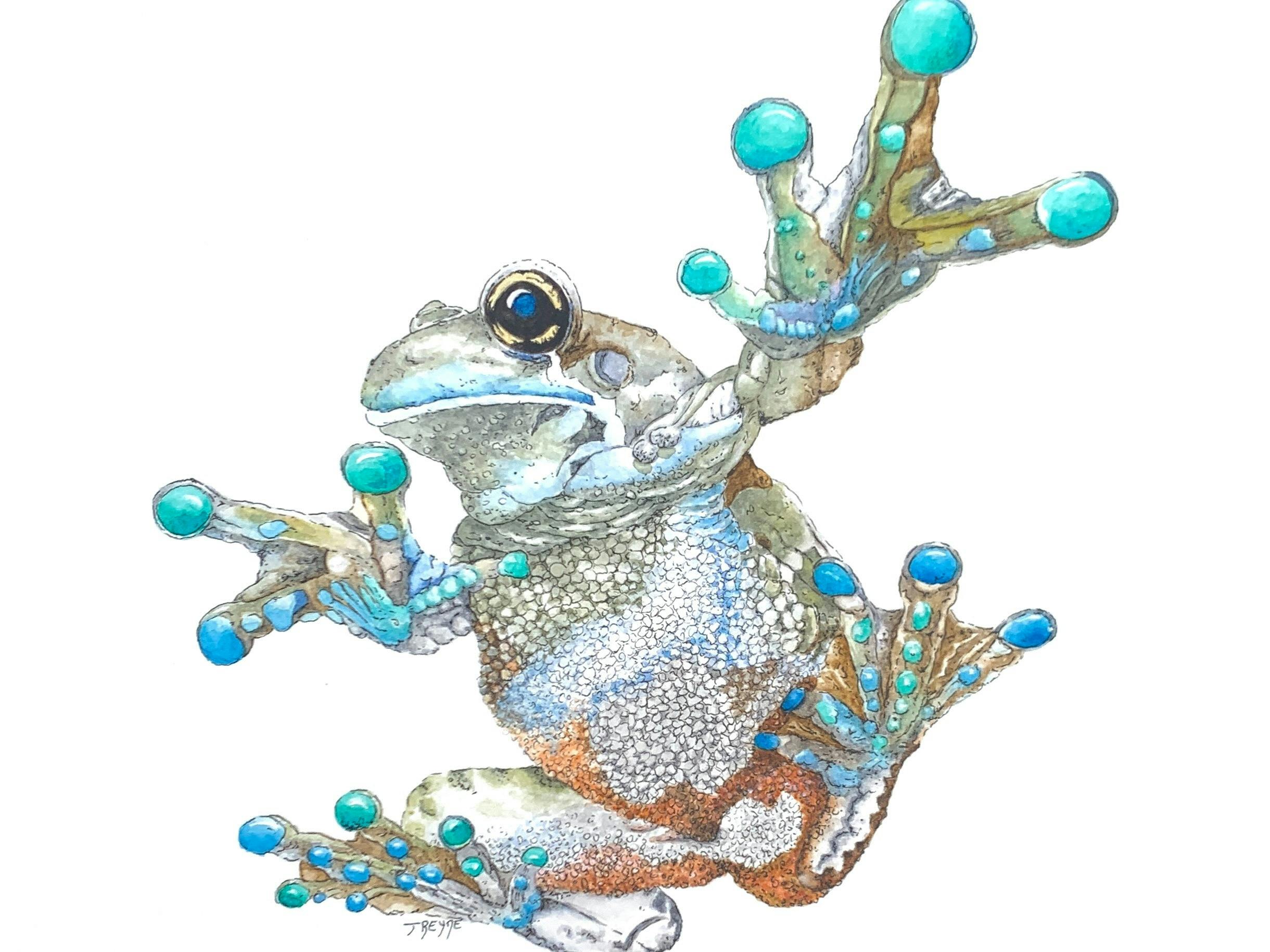Frog