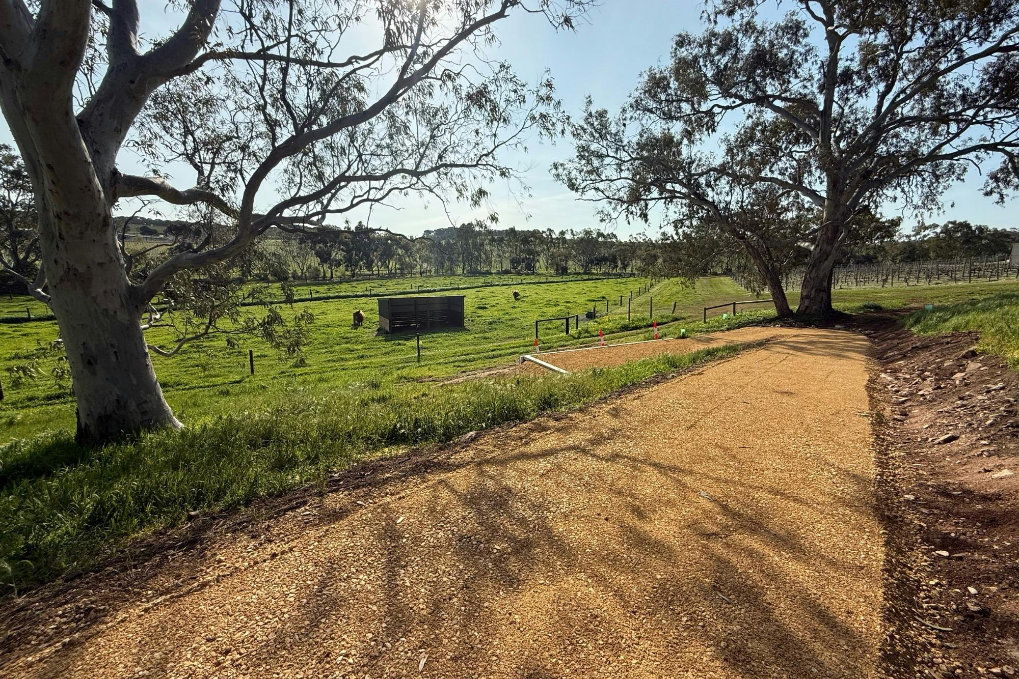 Kraehe  Nature Trail