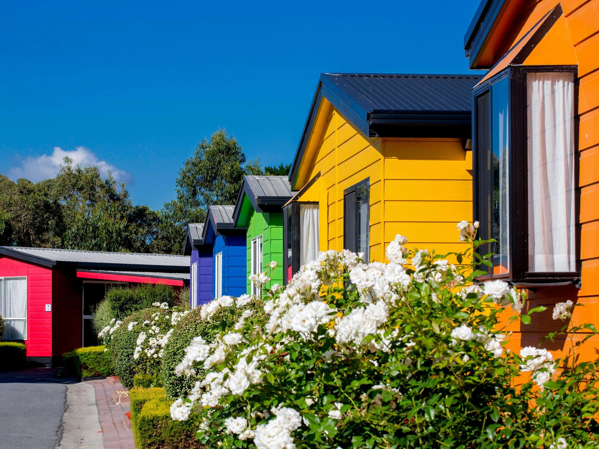 Colourful Cabins