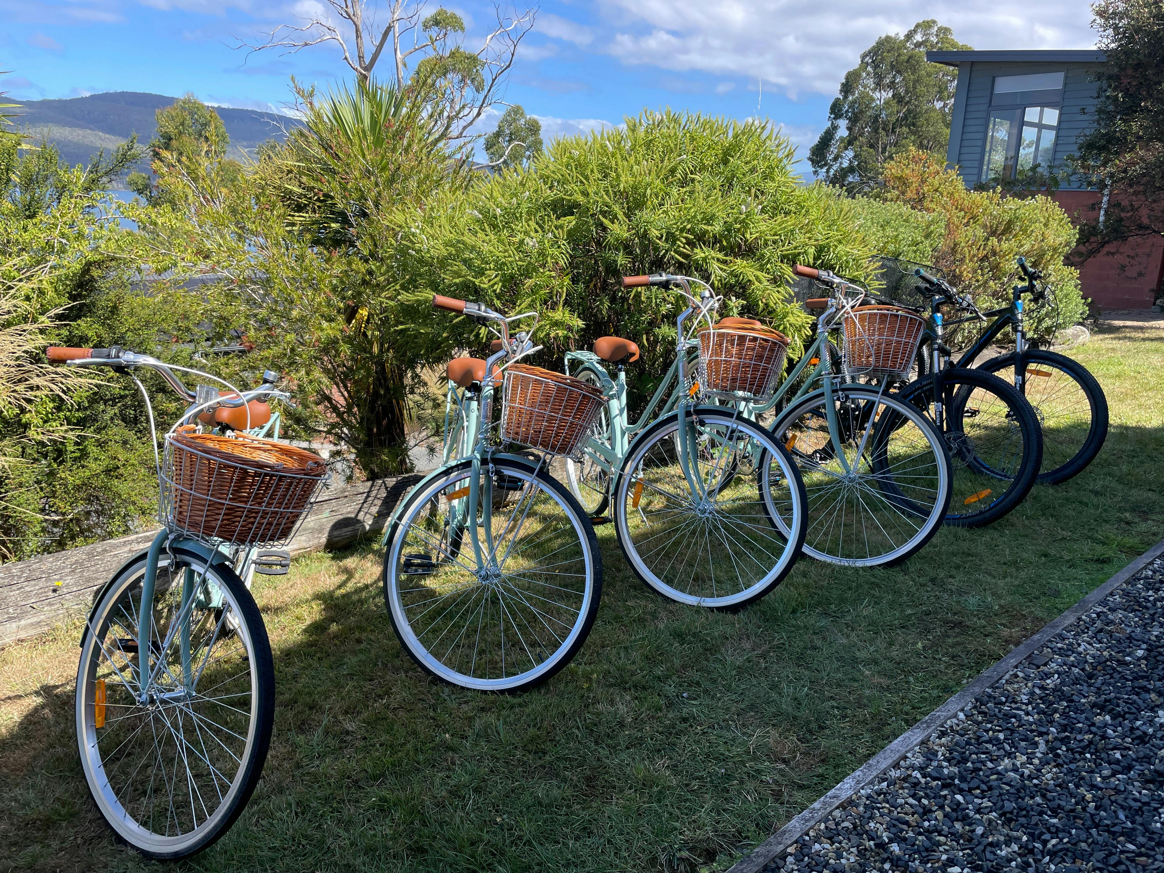 Recreational Bikes