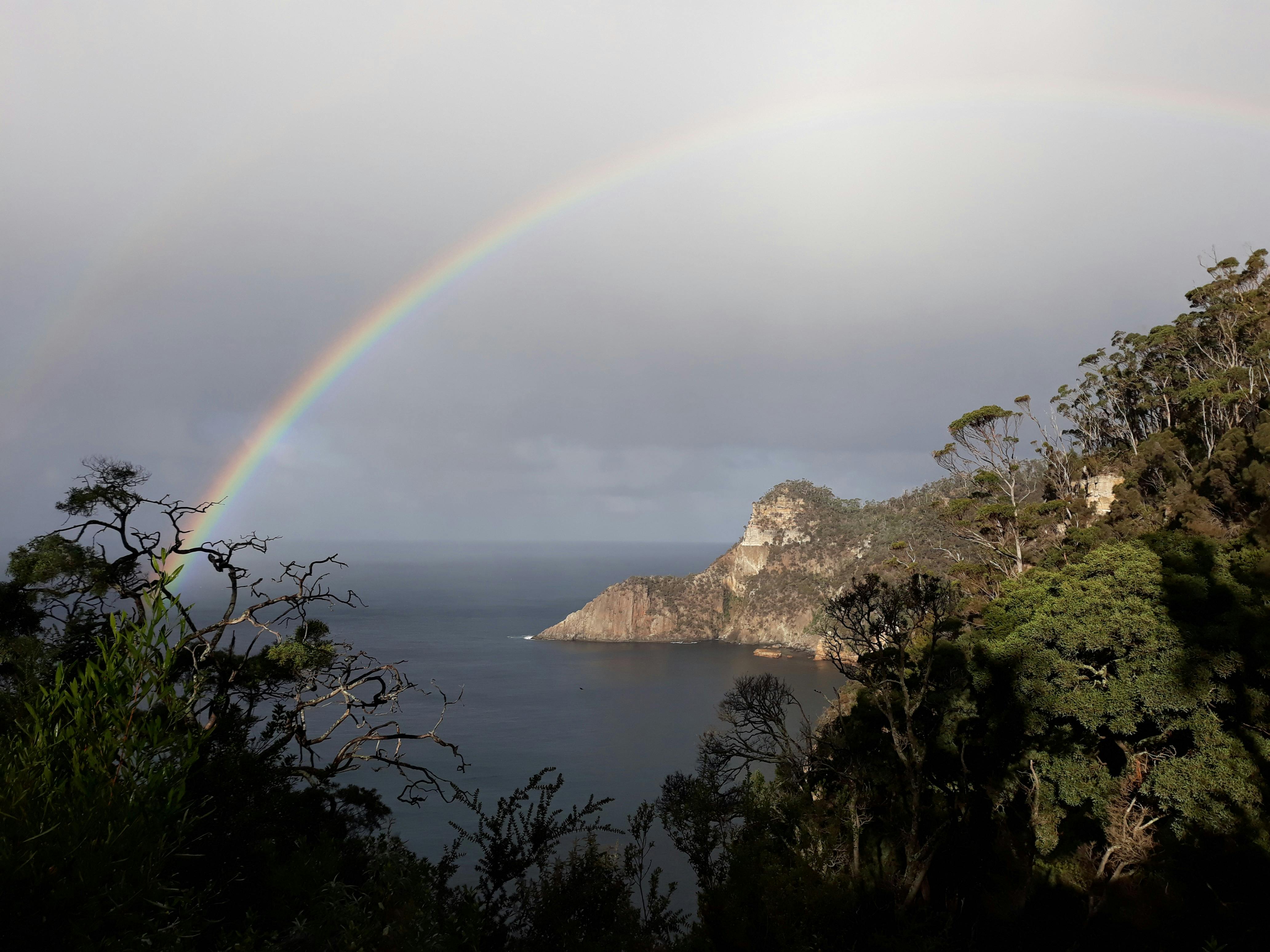From the Lookout