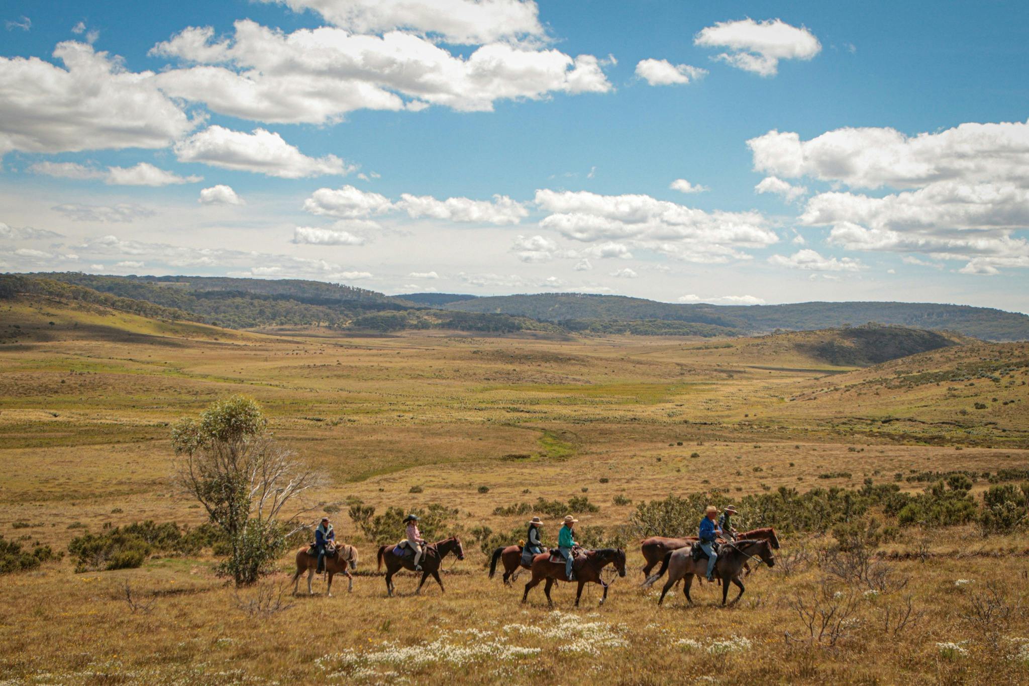 Riders overlooking the plain