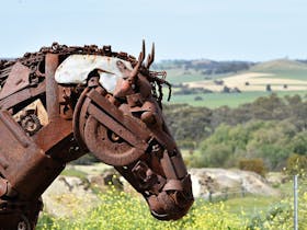 Clyde the Horse at Kapunda Mine Site