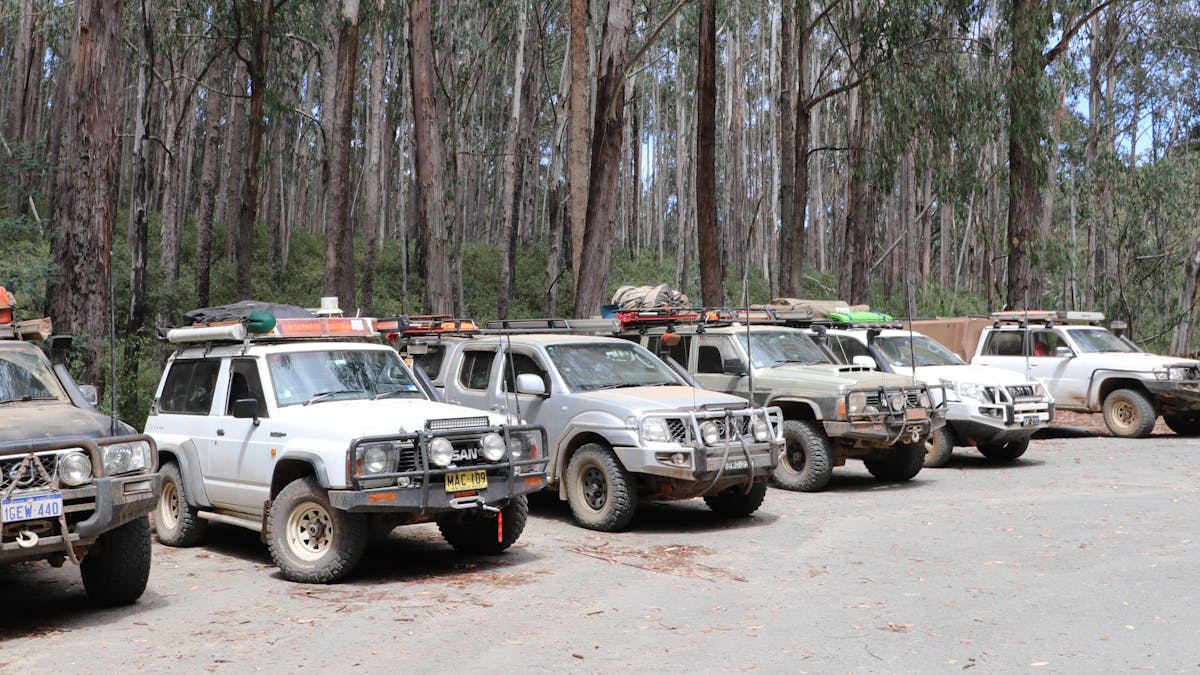 Row of Nissan Patrol tagalong group cars parked in front of trees.