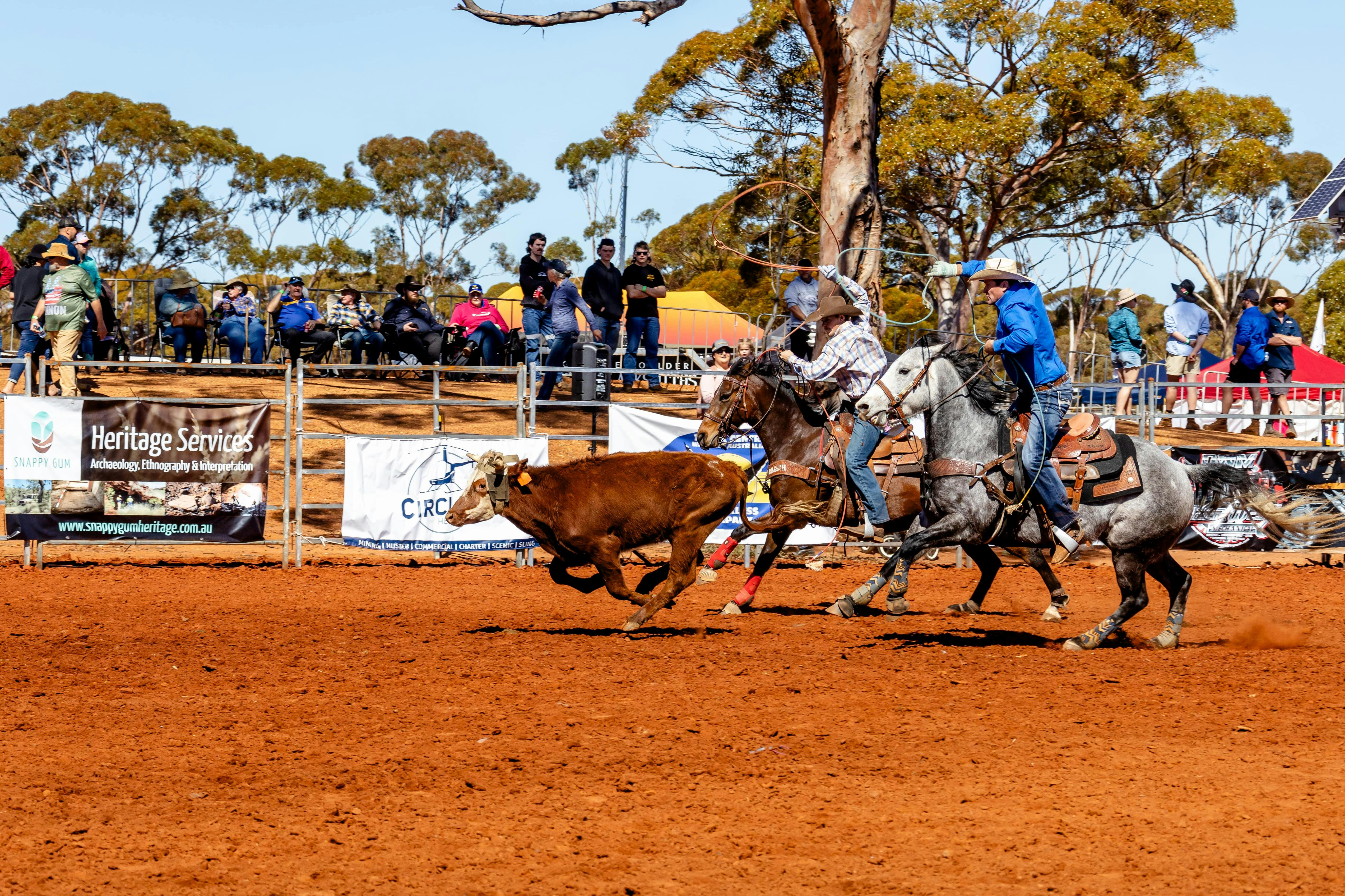 Coolgardie Rodeo and Outback Festival