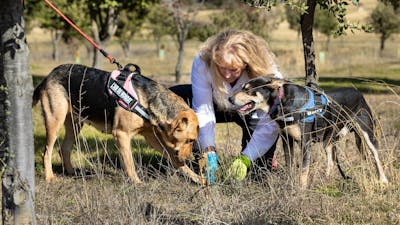 L'Air du Wombat Truffles