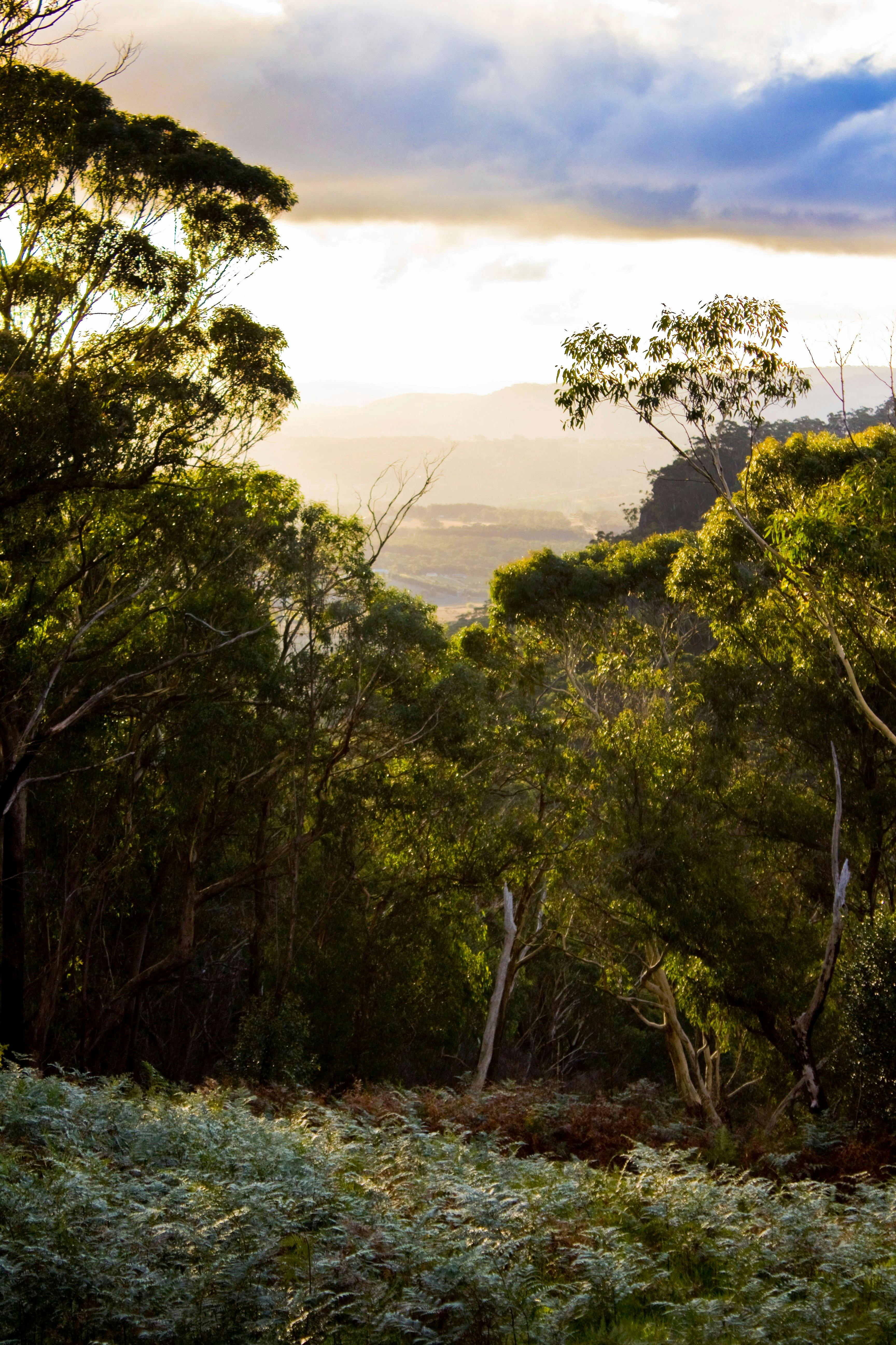 Lutanda Mount Victoria Sydney, Australia Official Travel