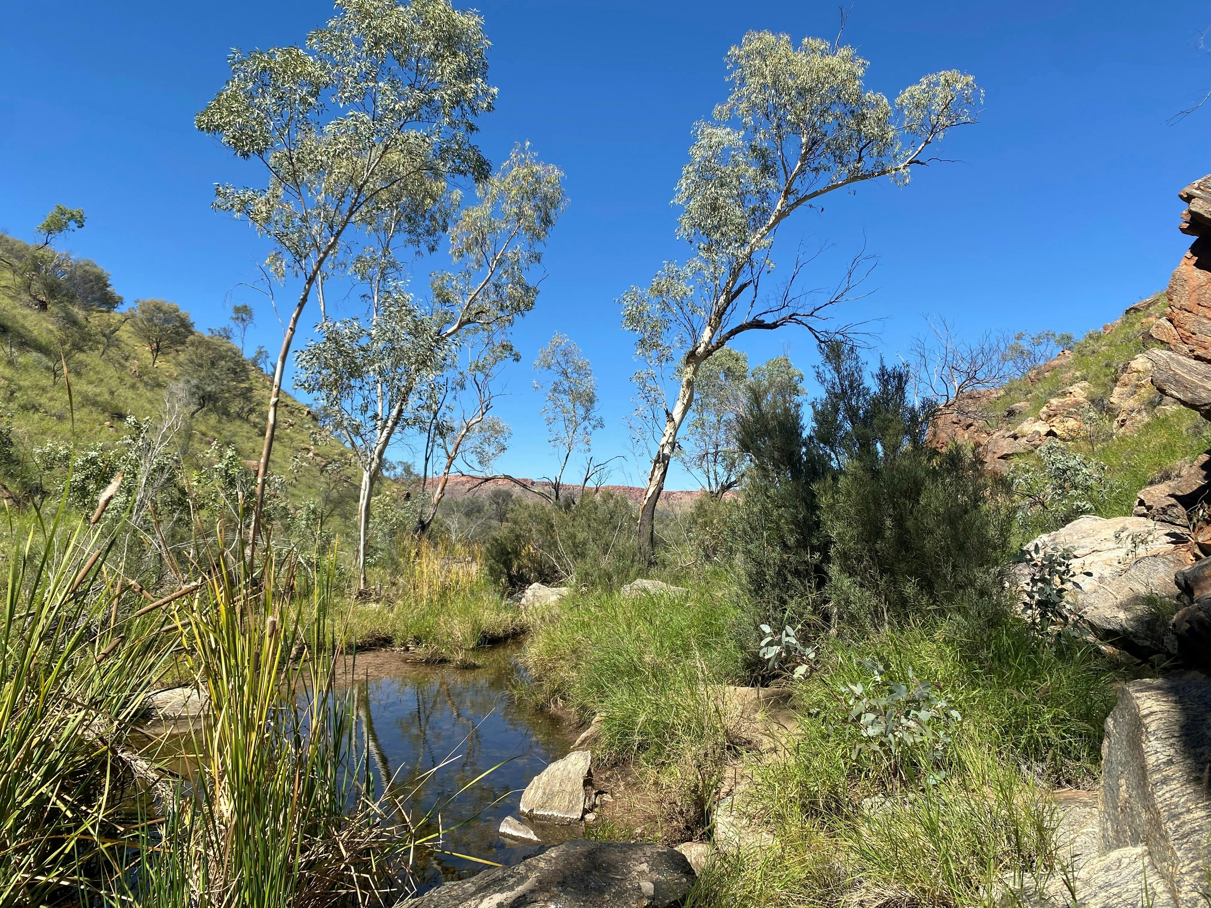 Wallaby Gap_Larapinta Trail
