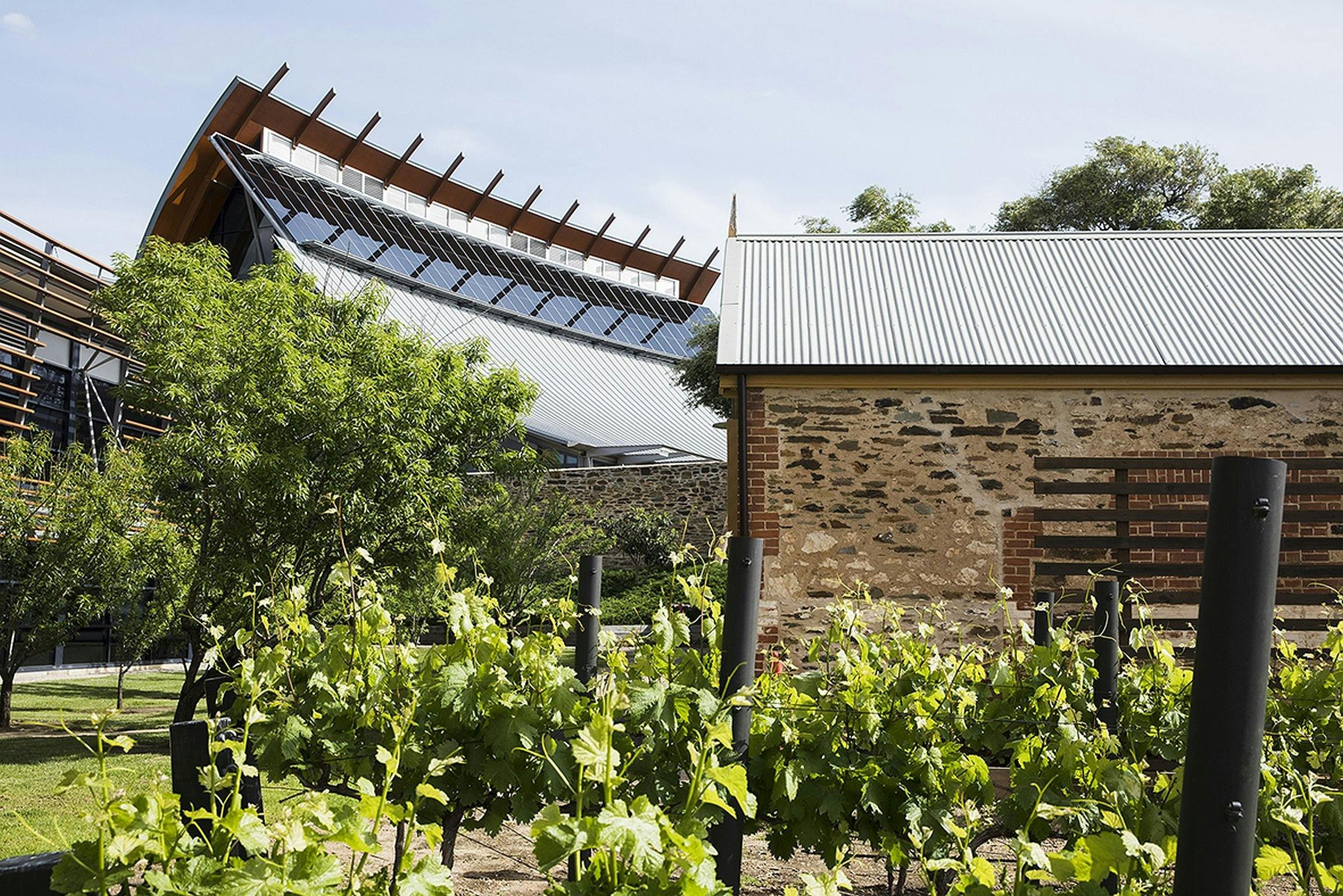 National Wine Centre of Australia Tour and Tasting Experiences