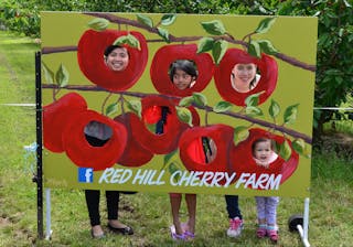 Red Hill Cherry Farm
