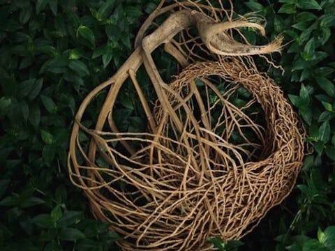 Intuitive Weaving Workshop