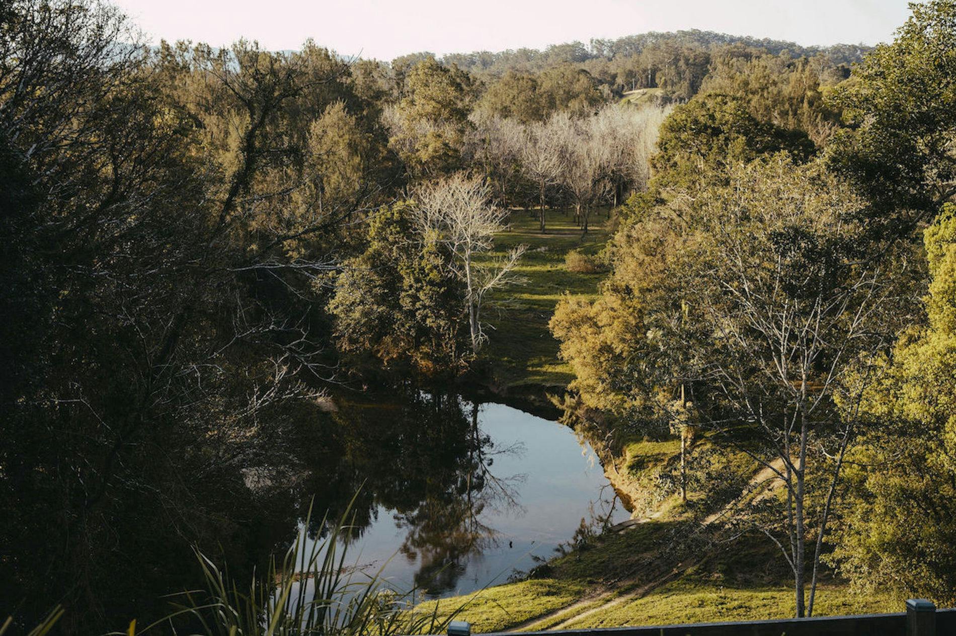 River, trees, mountains and grass paddocks