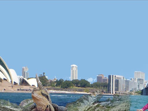 North of Sydney Harbour