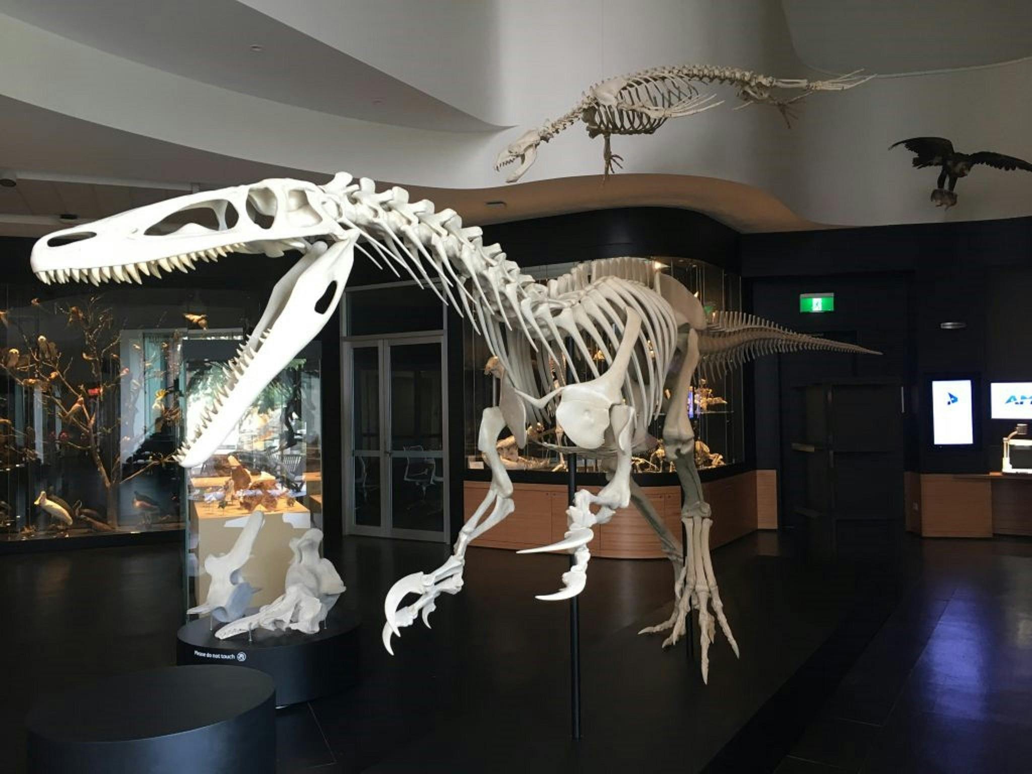 UNE Natural History Museum