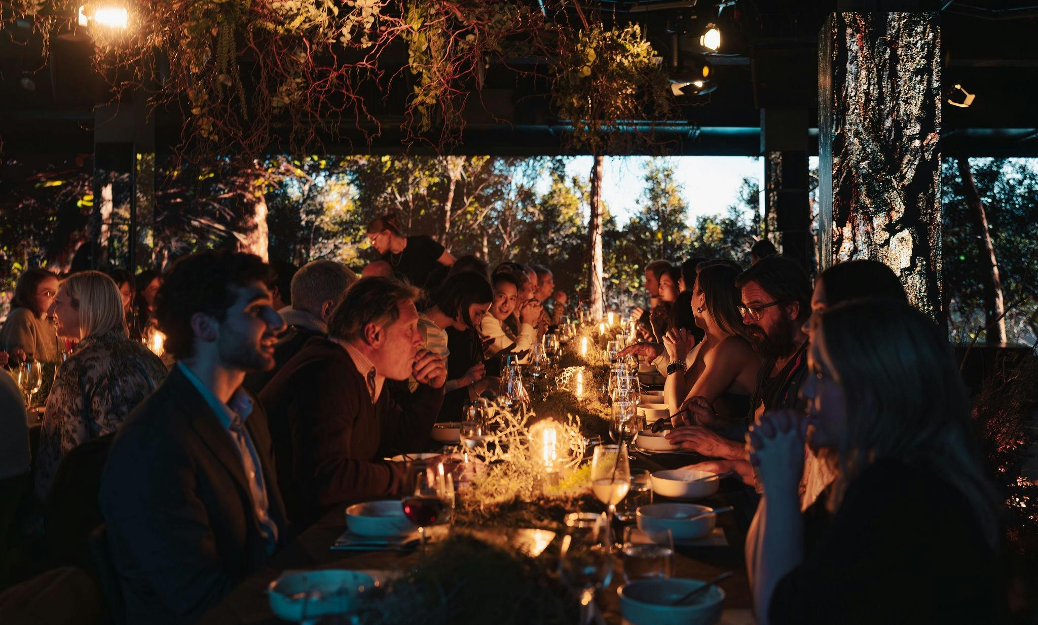Guests sitting at a table within an immersive forest environment