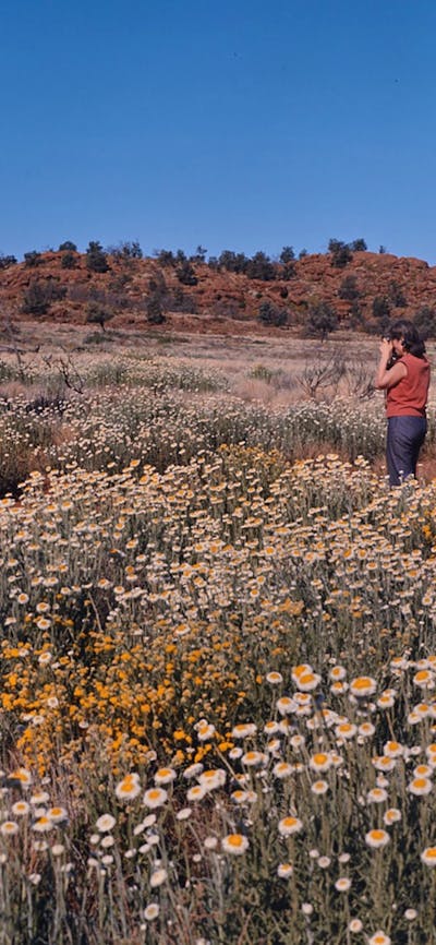 Coloured photograph of person photographing wildflowers