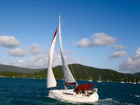 'Little One' under sail