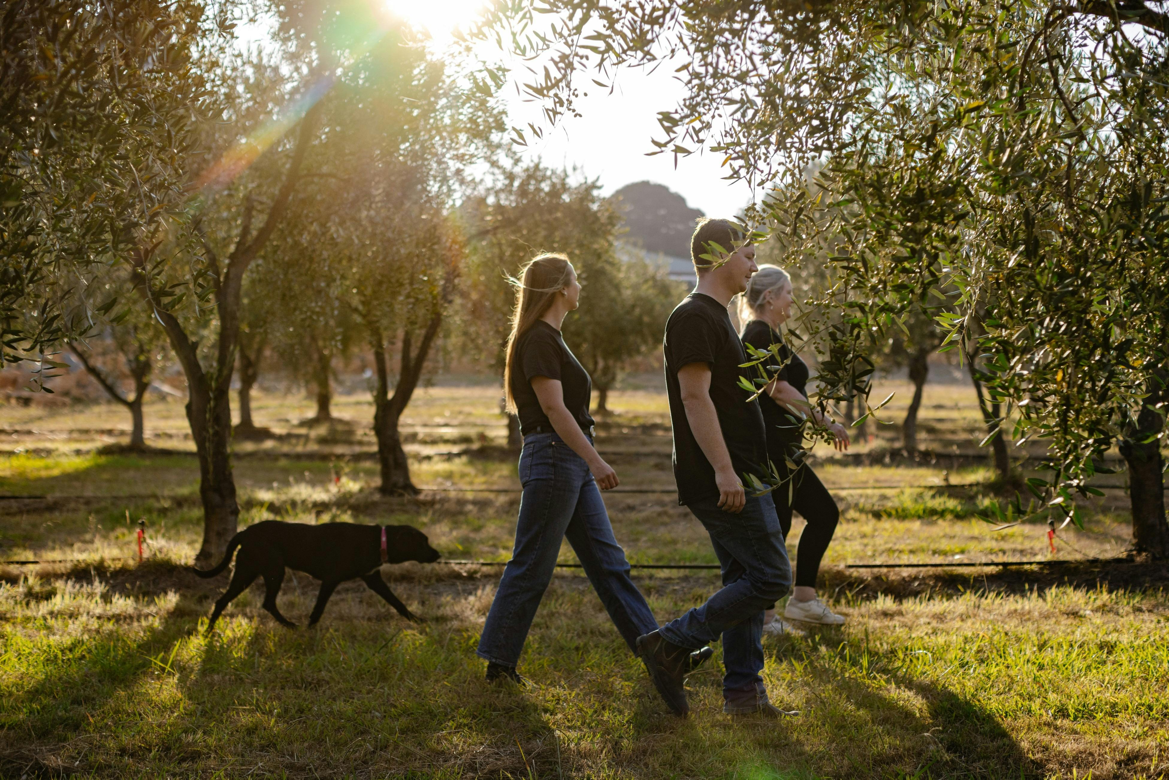People exploring the grove