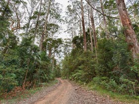 End Peak walking track