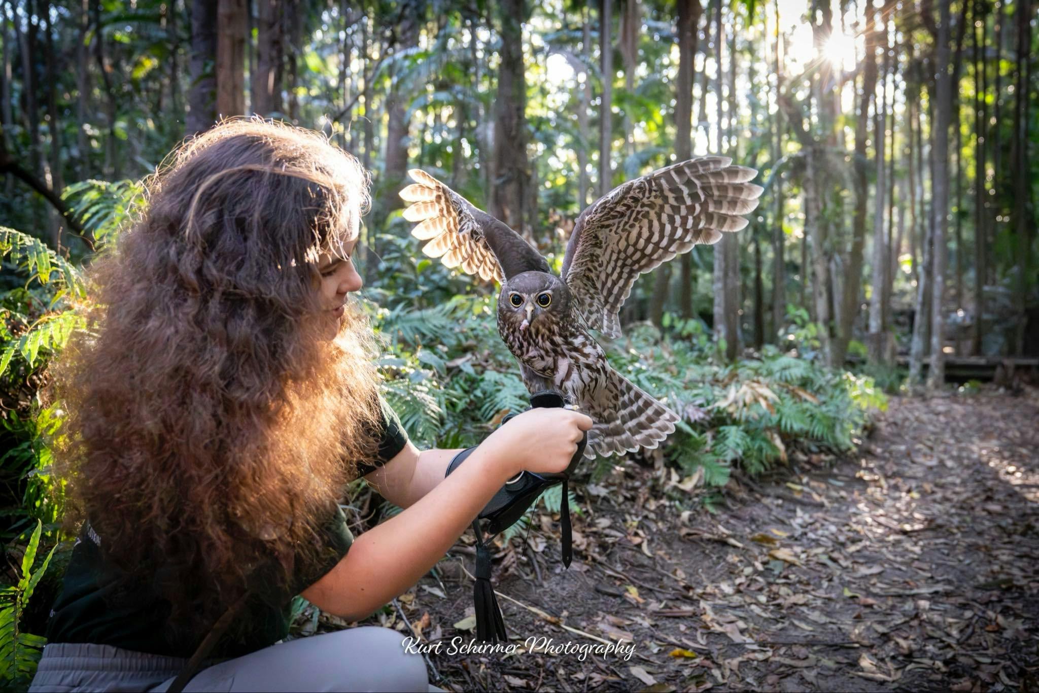 Forest Flight Owl Encounter
