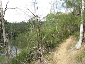 Warrandyte State Park