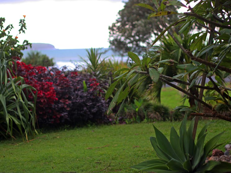 The view and the garden