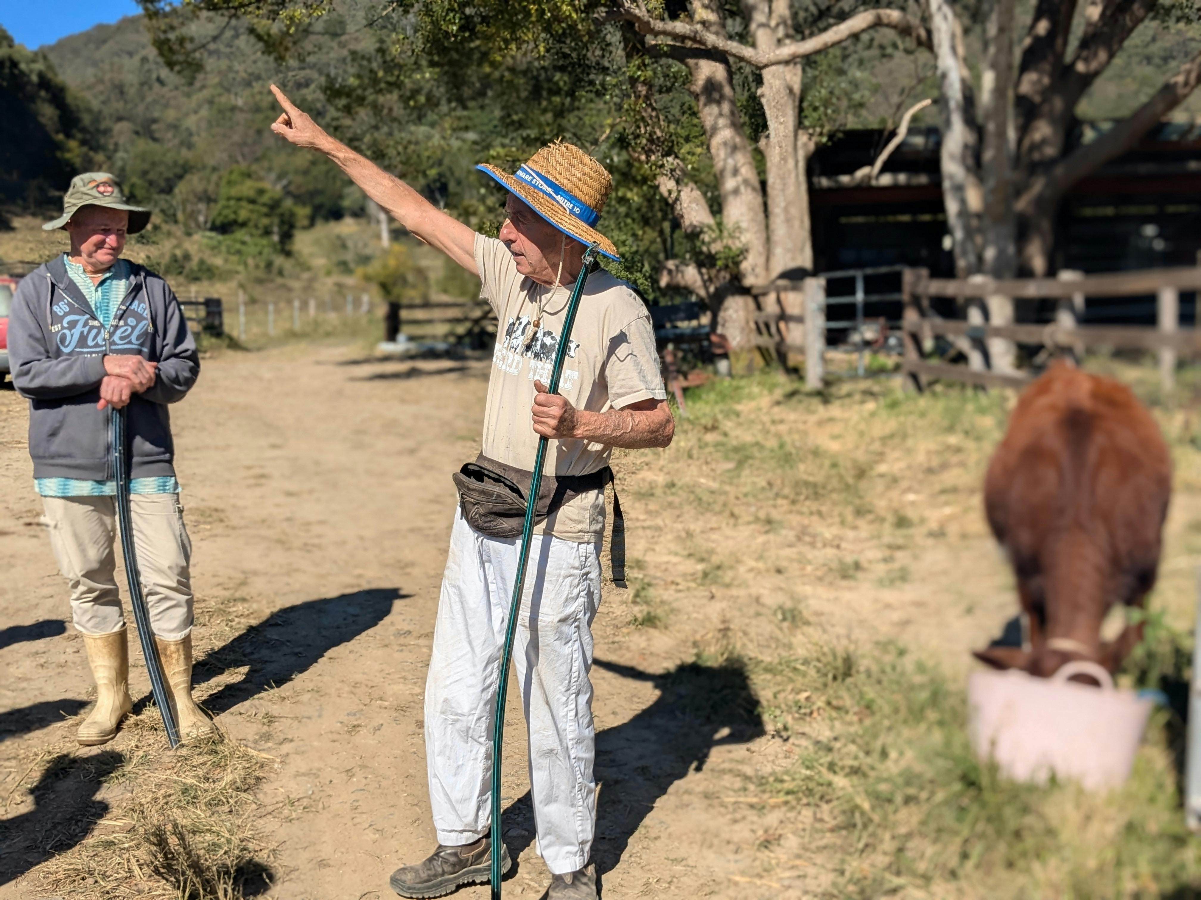 我們優秀的 Krishna Kirtan 喜歡分享他對 Krishna 農場公牛的知識
