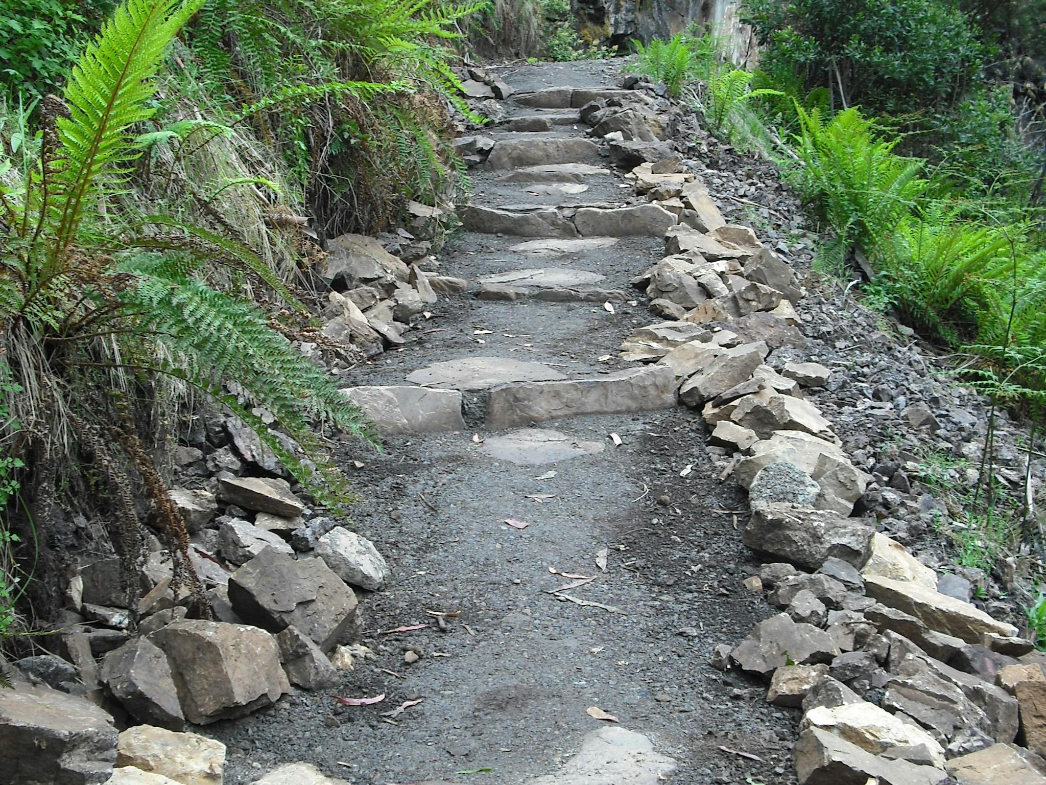 Stepped track to Bindaree Falls