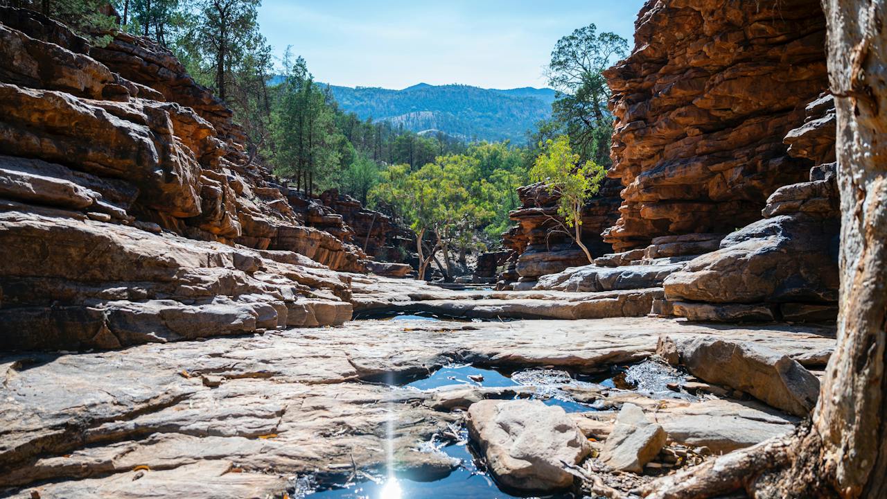 Ferguson Gorge Moolooloo Station