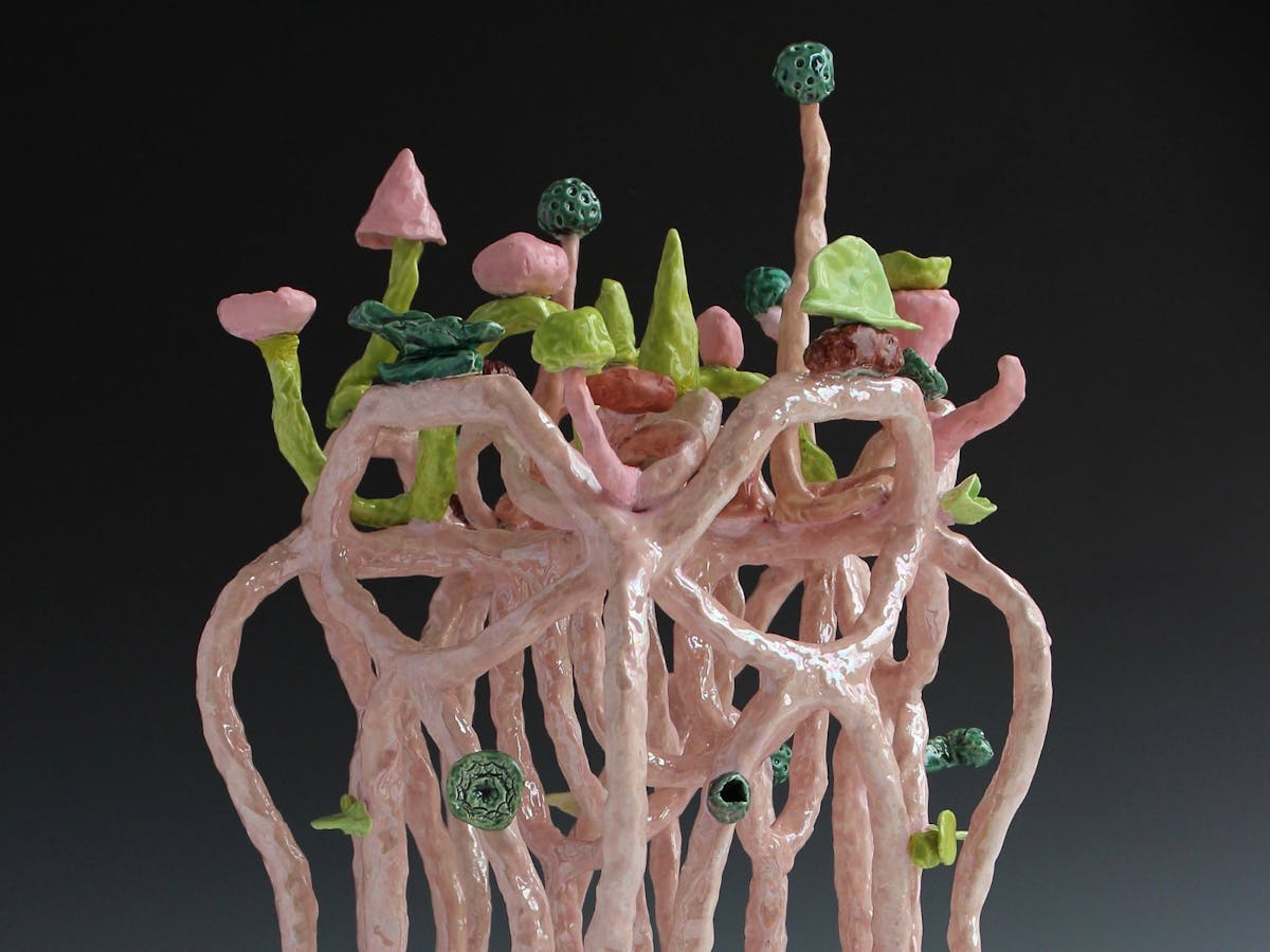 Image of Lynda Draper's ceramics in a studio setting with a black background.
