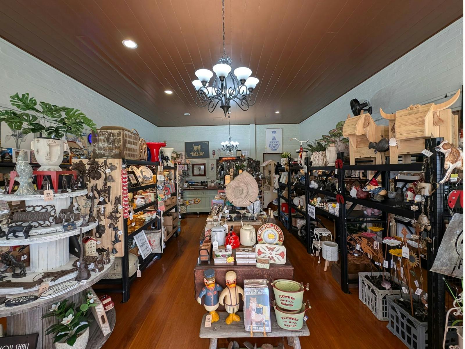 Inside the historic general trading store in Warwick