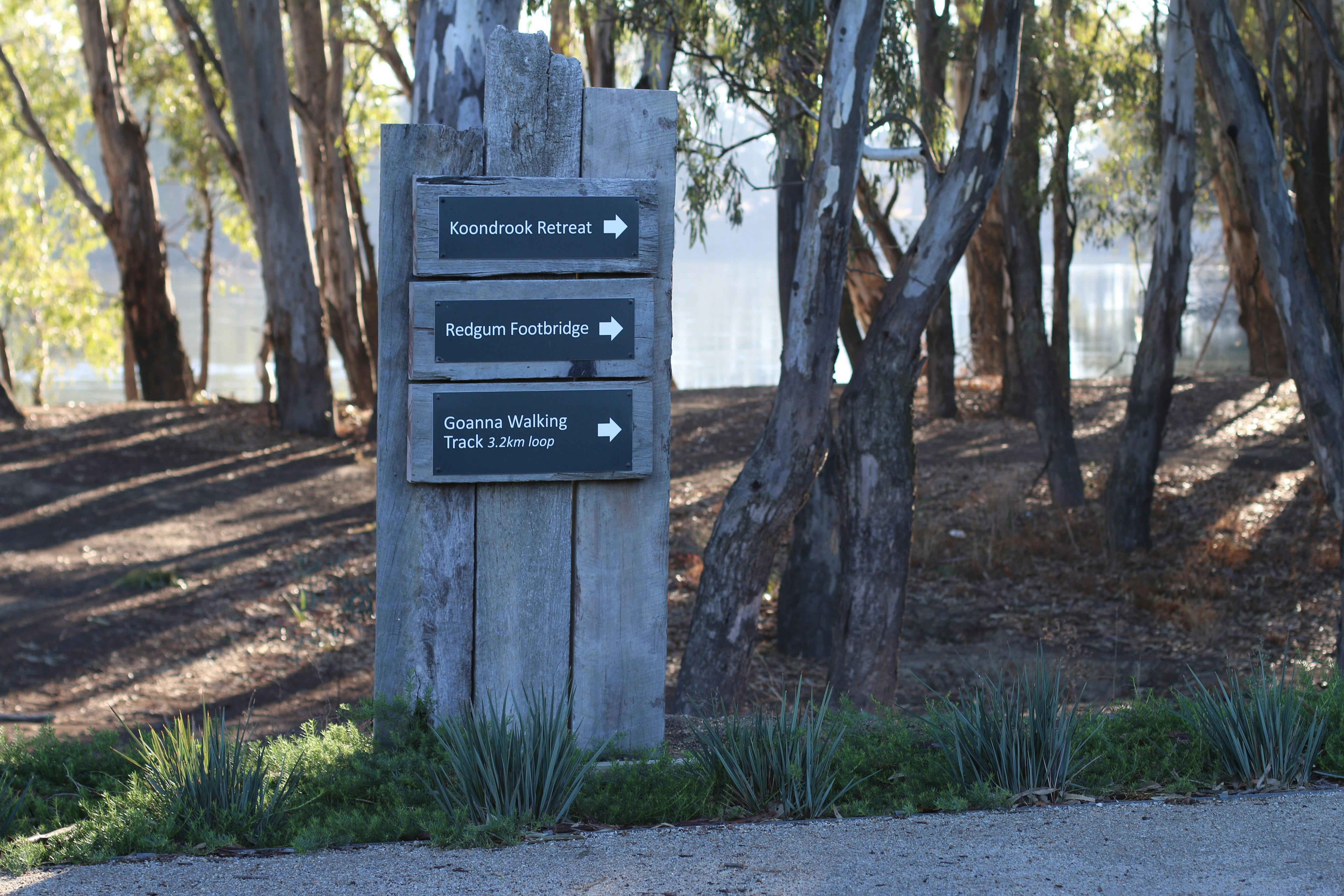 Goanna Walking Track directional signage