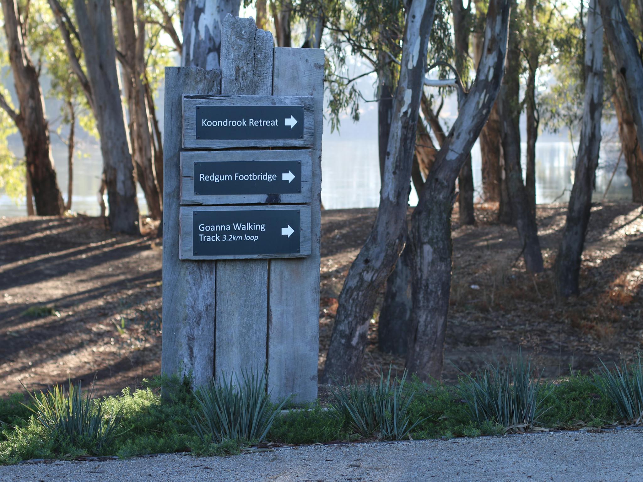 Goanna Walking Track directional signage