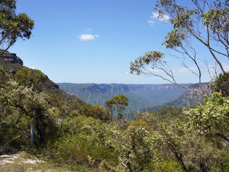 Greater Blue Mountains drive - The Mounts, Blue Mountains National Park. Photo: Steve Alton