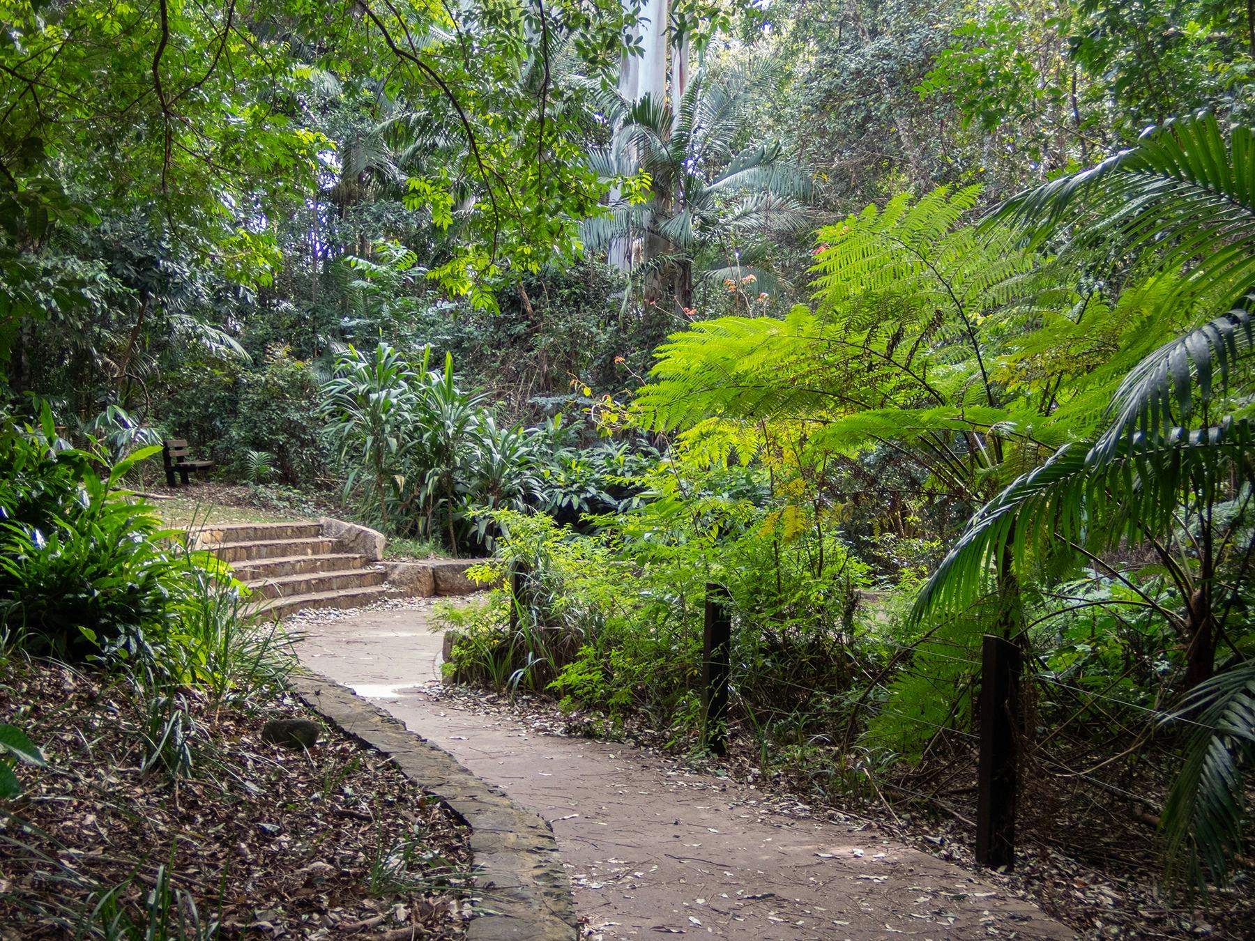 Entrance Rainforest D'Aguilar National Park