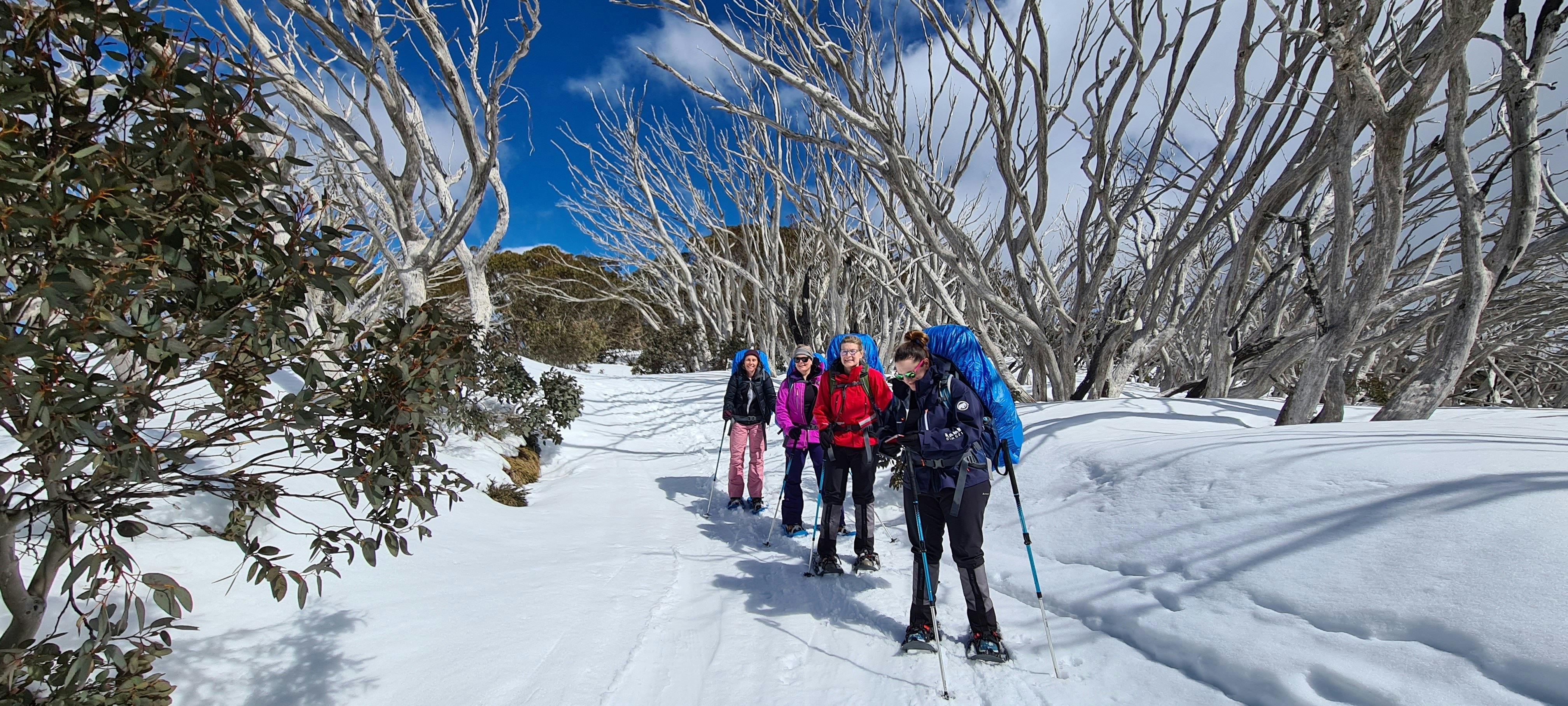 A group of hikers snowshoeing to Craig's Hut along Clear Hills Track.