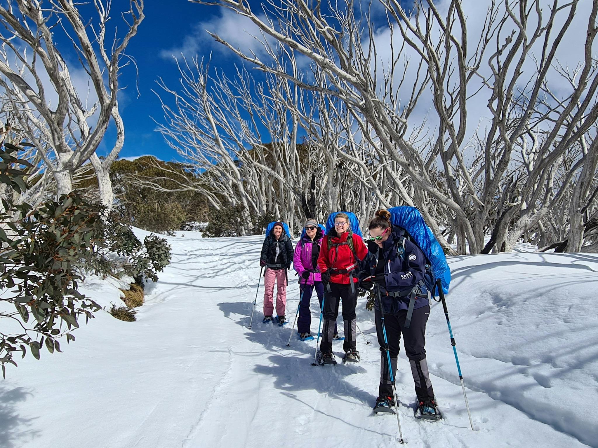 A group of hikers snowshoeing to Craig's Hut along Clear Hills Track.