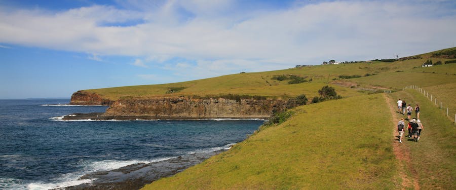 Kiama Heights - Coast Walk