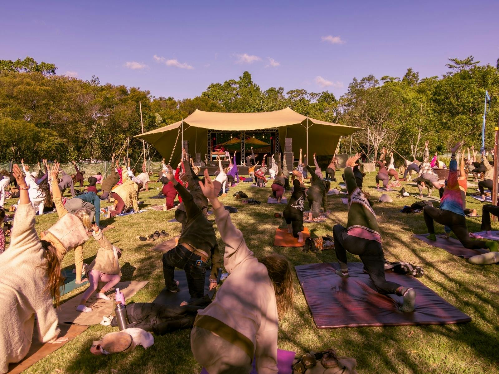 yoga_Lily_pad_stage