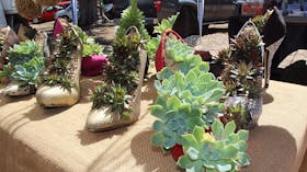 Murrabit Country Market