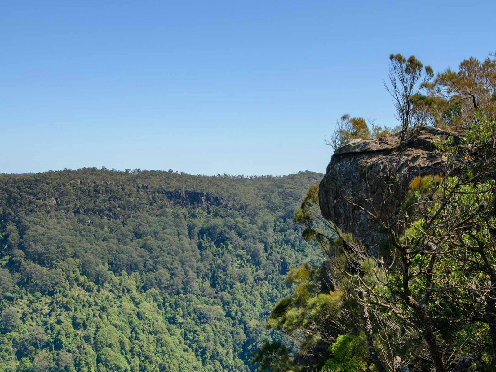Cooks Nose Lookout Walk, Naturschutzgebiet Barren Grounds. Foto: John Spencer/NSW-Regierung