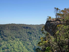 Cooks Nose Walking Track