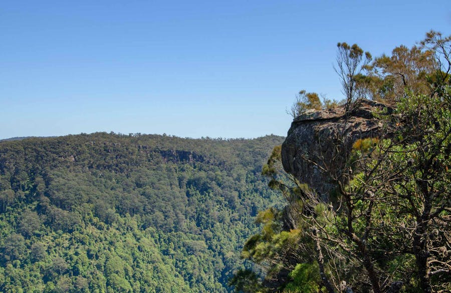 Cooks Nose lookout walk, Barren Grounds Nature Reserve. Photo: John Spencer/NSW Government