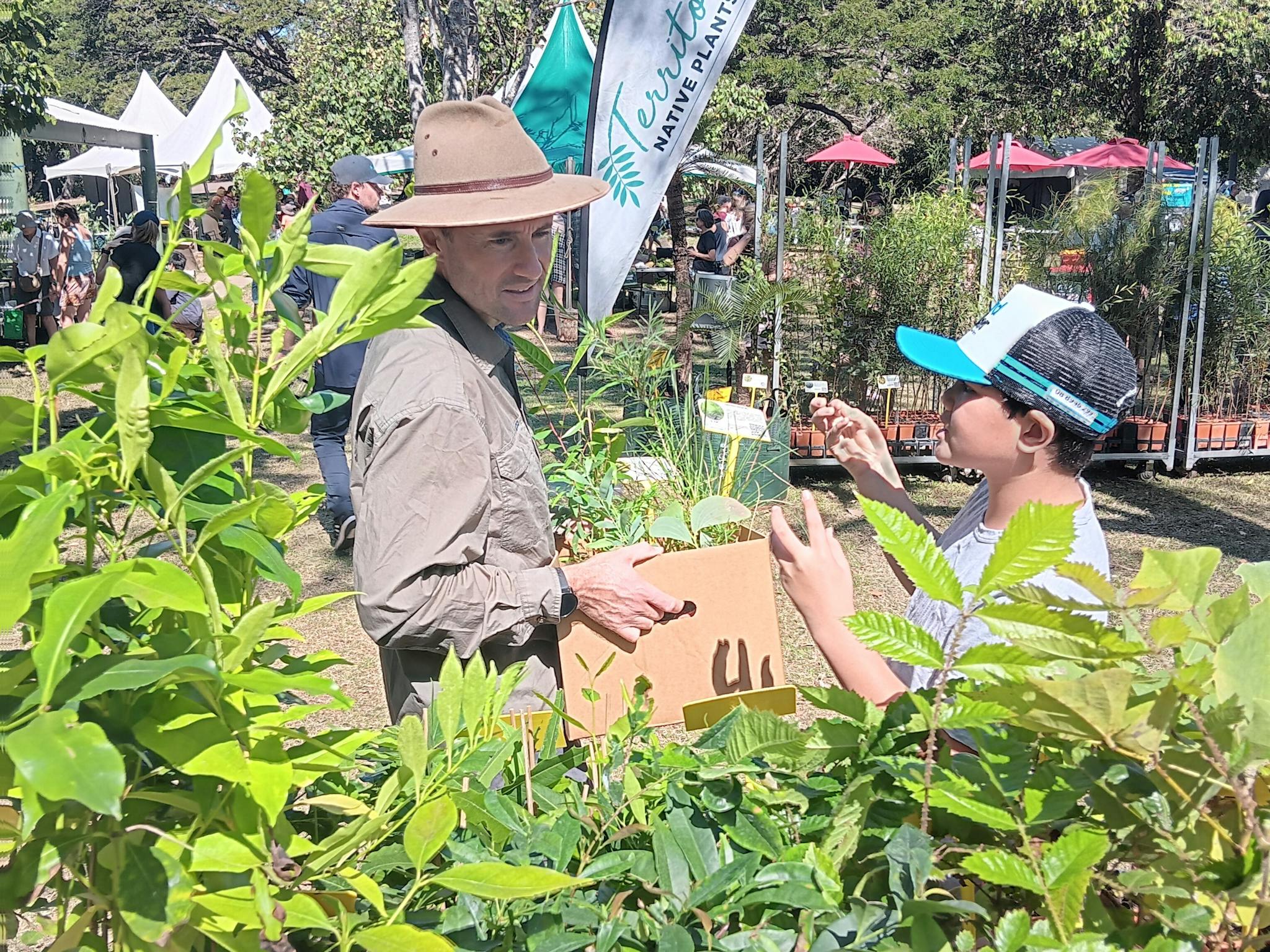 Browsing plants