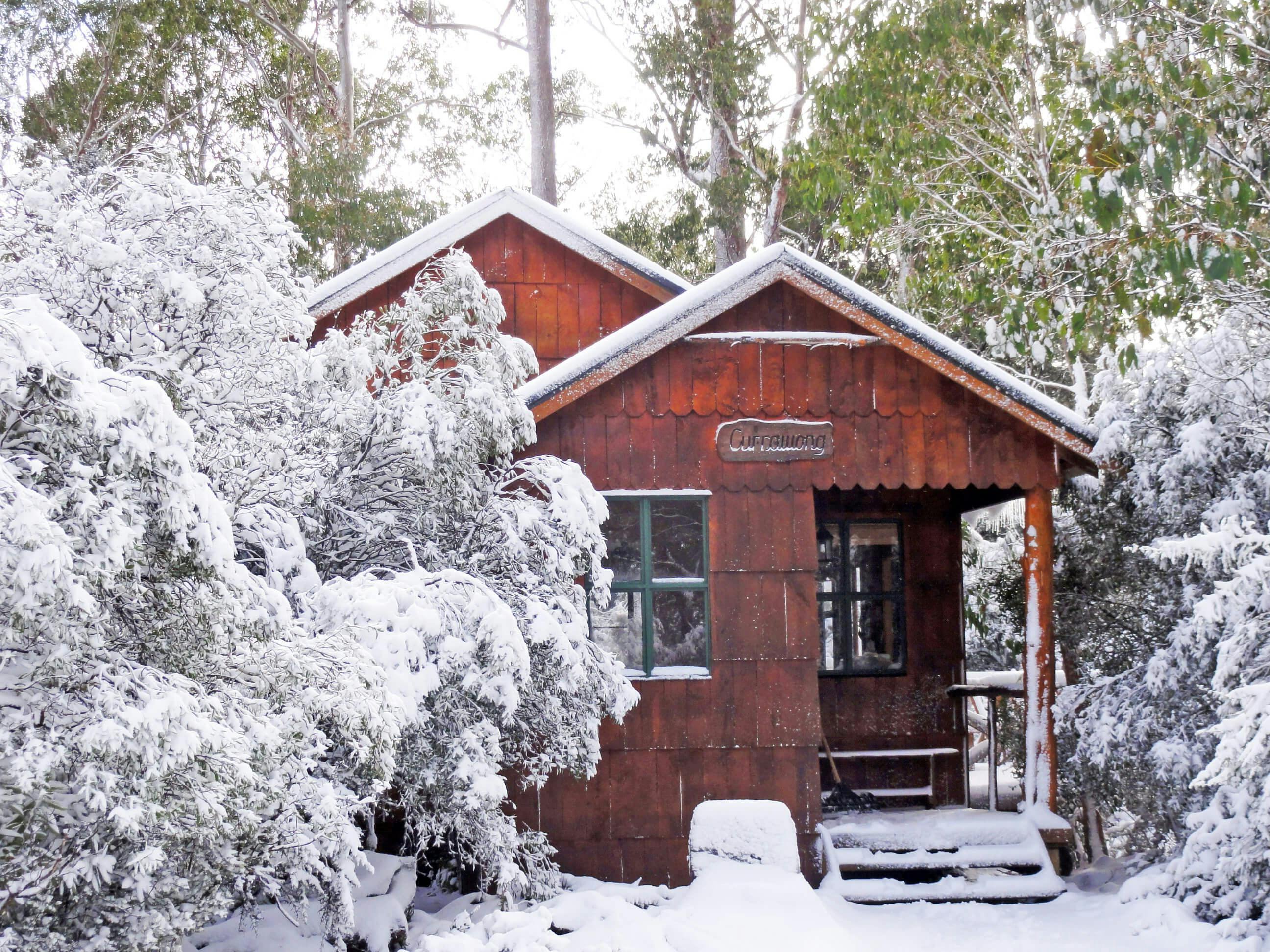Forest View Two Bedroom  -- wood fire